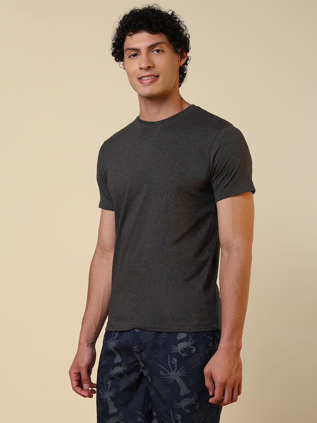 Sleepz Men Grey Solid Regular Fit Cotton T-Shirt