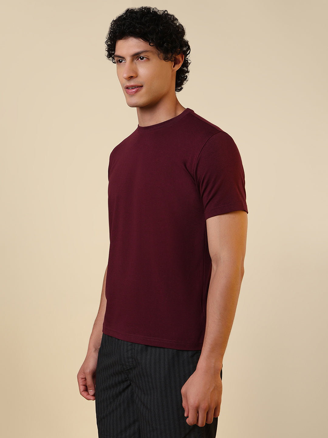 Sleepz Men Purple Solid Regular Fit Cotton Blend T-Shirt