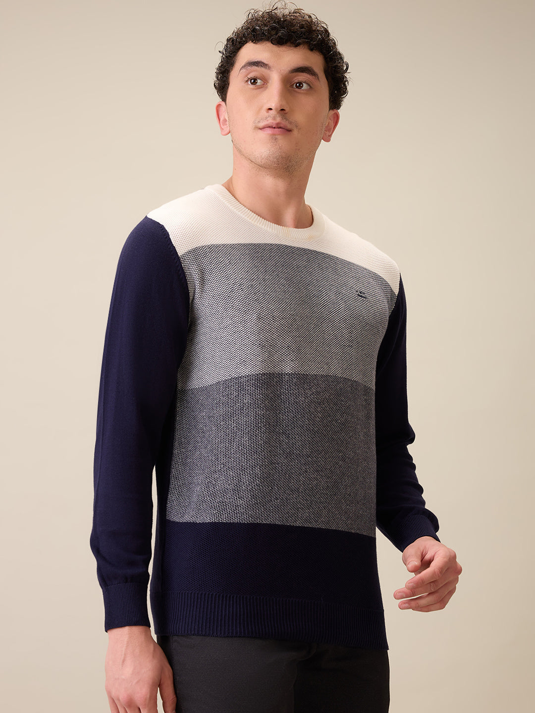 Colorplus Men Blue Jacquard Regular Fit Cotton Full Sleeve Round Neck Collar Sweater