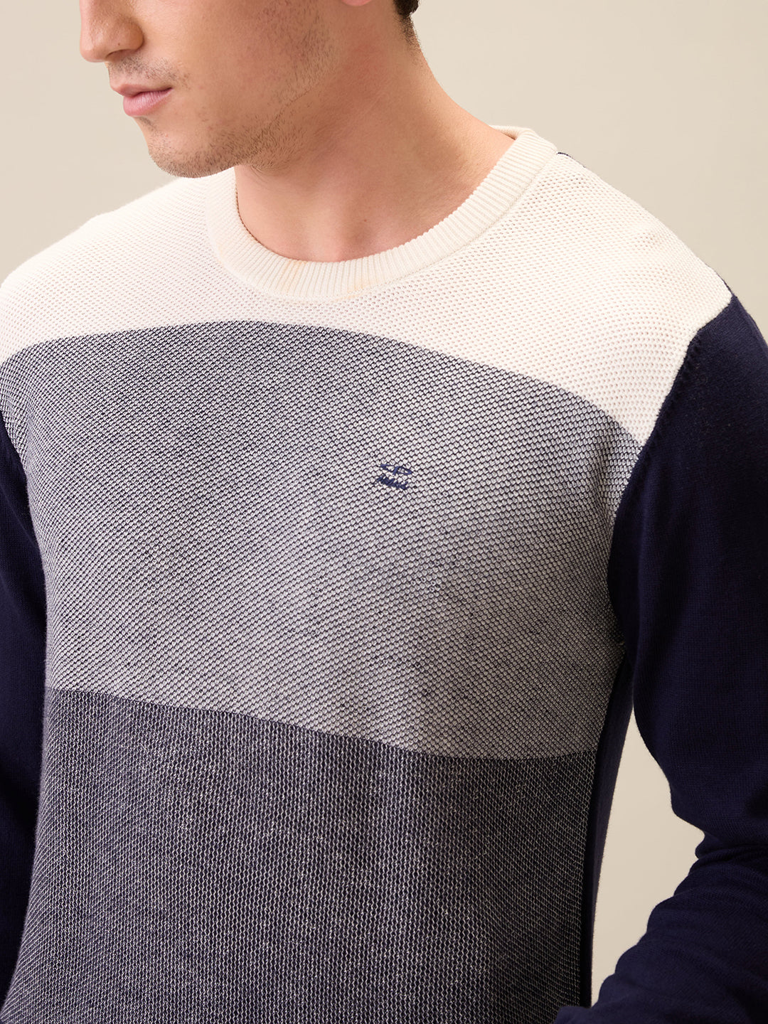 Colorplus Men Blue Jacquard Regular Fit Cotton Full Sleeve Round Neck Collar Sweater
