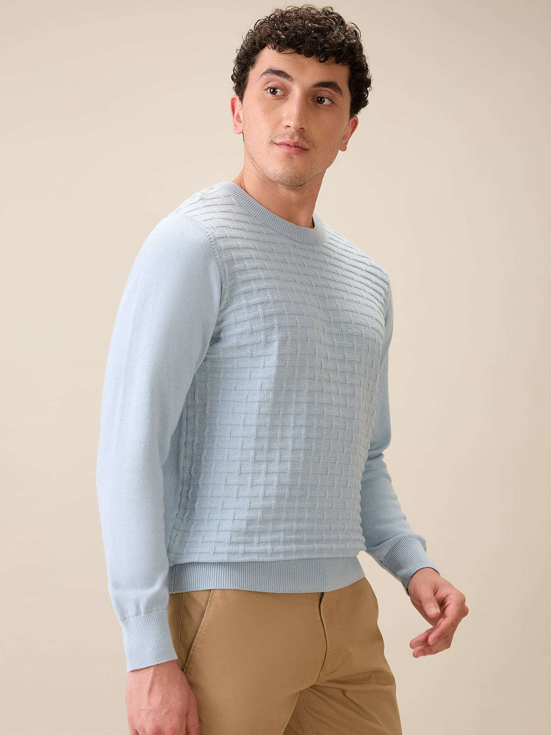 Colorplus Men Blue Jacquard Regular Fit Cotton Full Sleeve Round Neck Collar Sweater