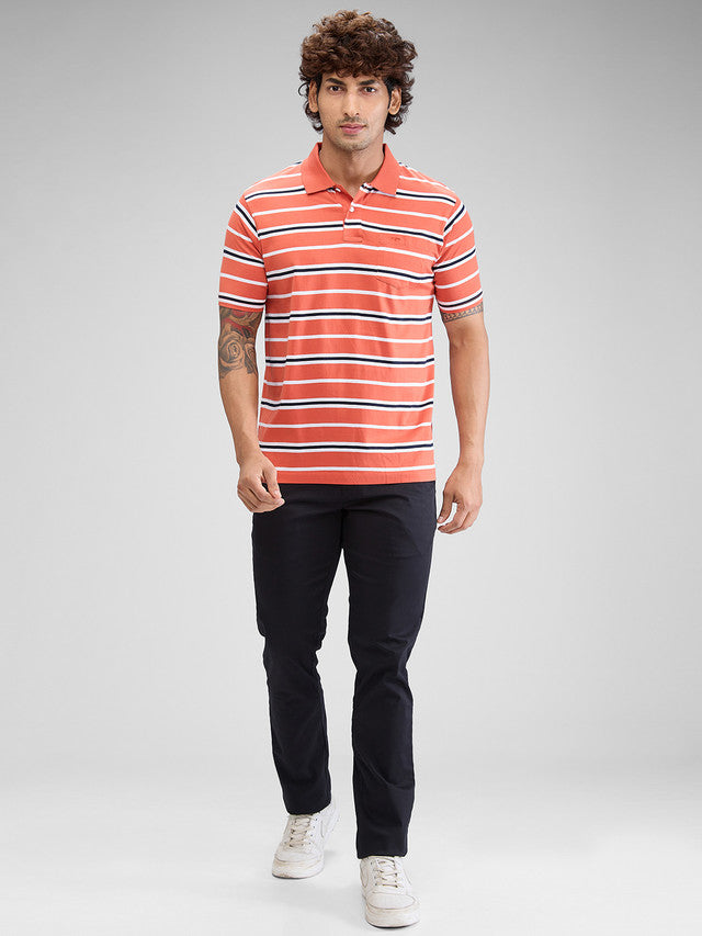 Colorplus Orange Stripe Classic Fit Cotton T-Shirt