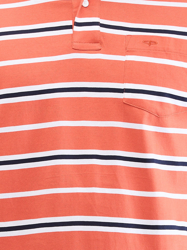 Colorplus Orange Stripe Classic Fit Cotton T-Shirt