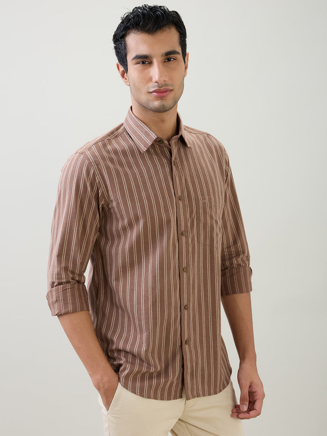 Colorplus Men Brown Stripe Regular Fit Cotton Full Sleeve Casual Shirt