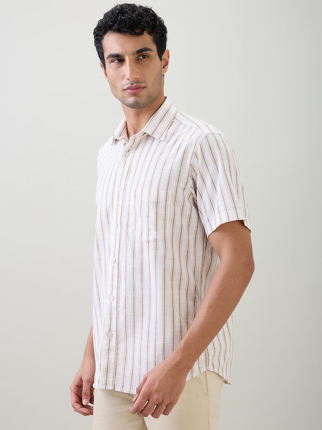 Colorplus Men Brown Stripe Regular Fit Cotton Half Sleeve Casual Shirt