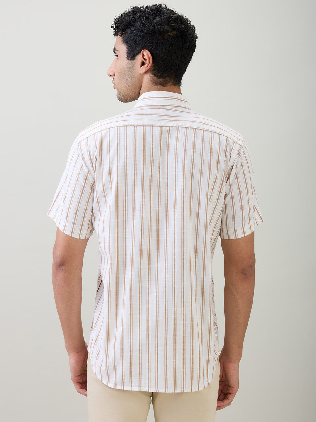 Colorplus Men Brown Stripe Regular Fit Cotton Half Sleeve Casual Shirt