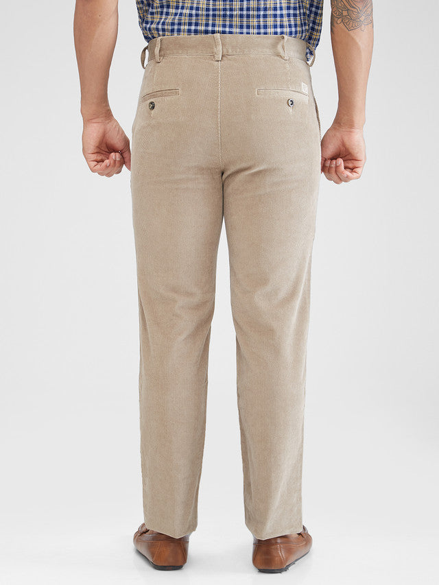 Colorplus Beige Solid Piece Dyed Regular Fit Cotton Trouser