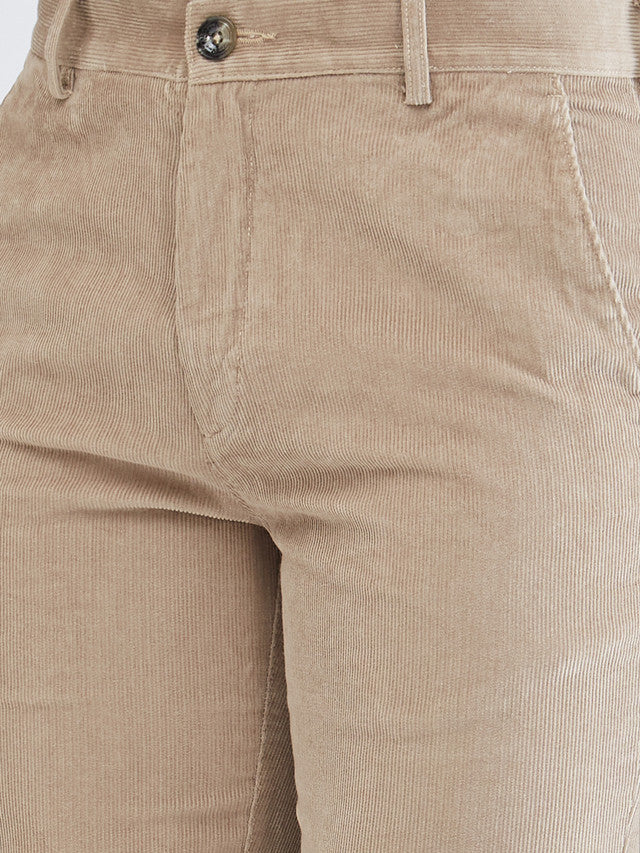 Colorplus Beige Solid Piece Dyed Regular Fit Cotton Trouser