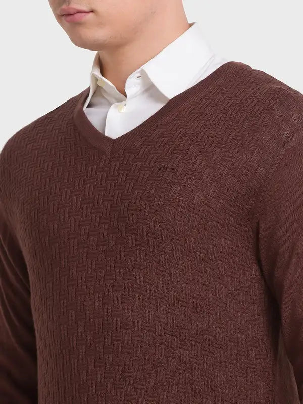 Men Brown Tailored Fit Structure Acrylic Merino Blend Full Sleeve V Neck Collar Sweaters