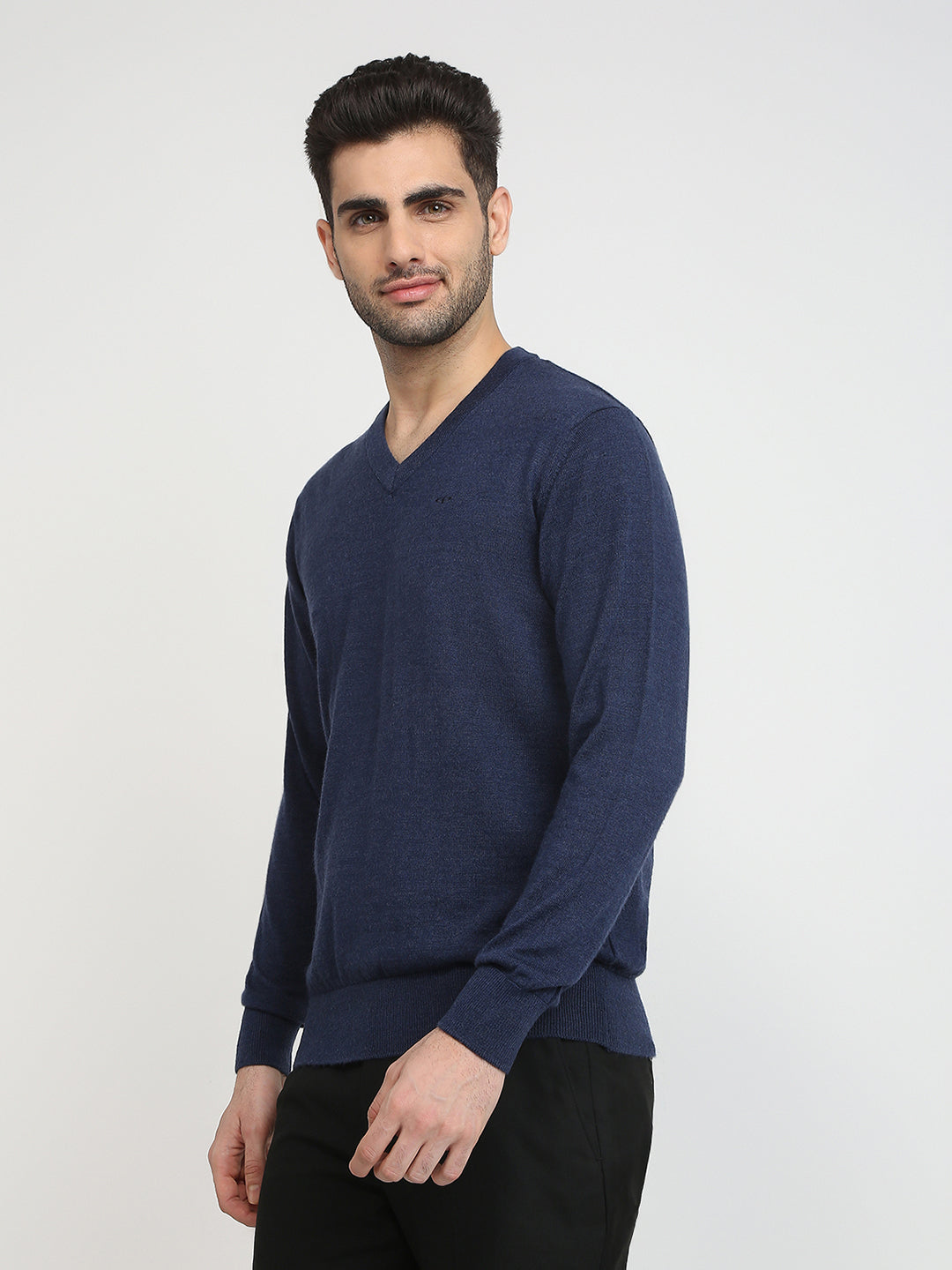 Colorplus Men Blue Solid Regular Fit Wool Blend Full Sleeve V Neck Collar Sweater