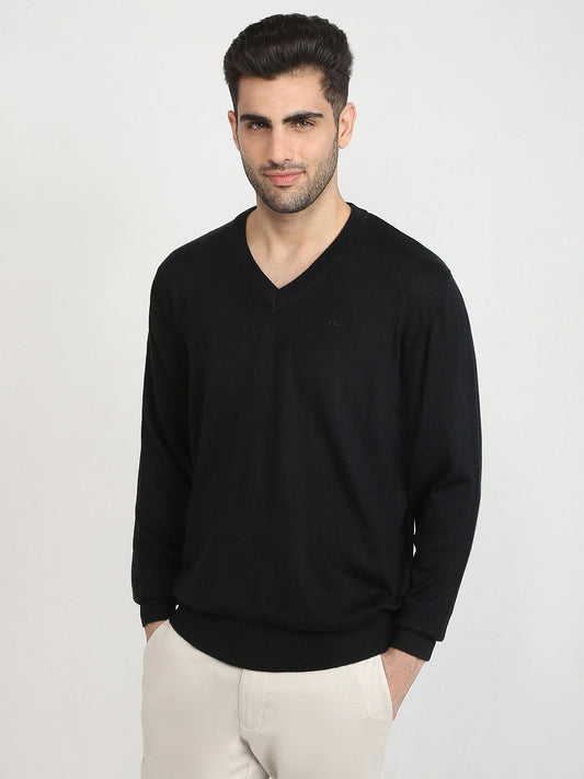 Colorplus Men Black Solid Regular Fit Wool Blend Full Sleeve V Neck Collar Sweater