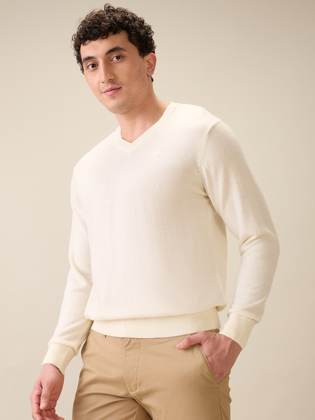 Colorplus Men White Solid Regular Fit Wool Blend Full Sleeve V Neck Collar Sweater