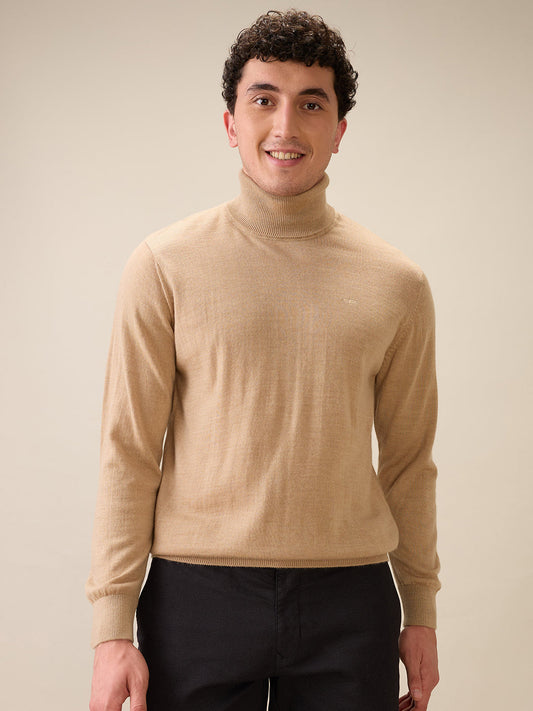 Colorplus Men Brown Solid Regular Fit Wool Blend Full Sleeve V Neck Collar Sweater