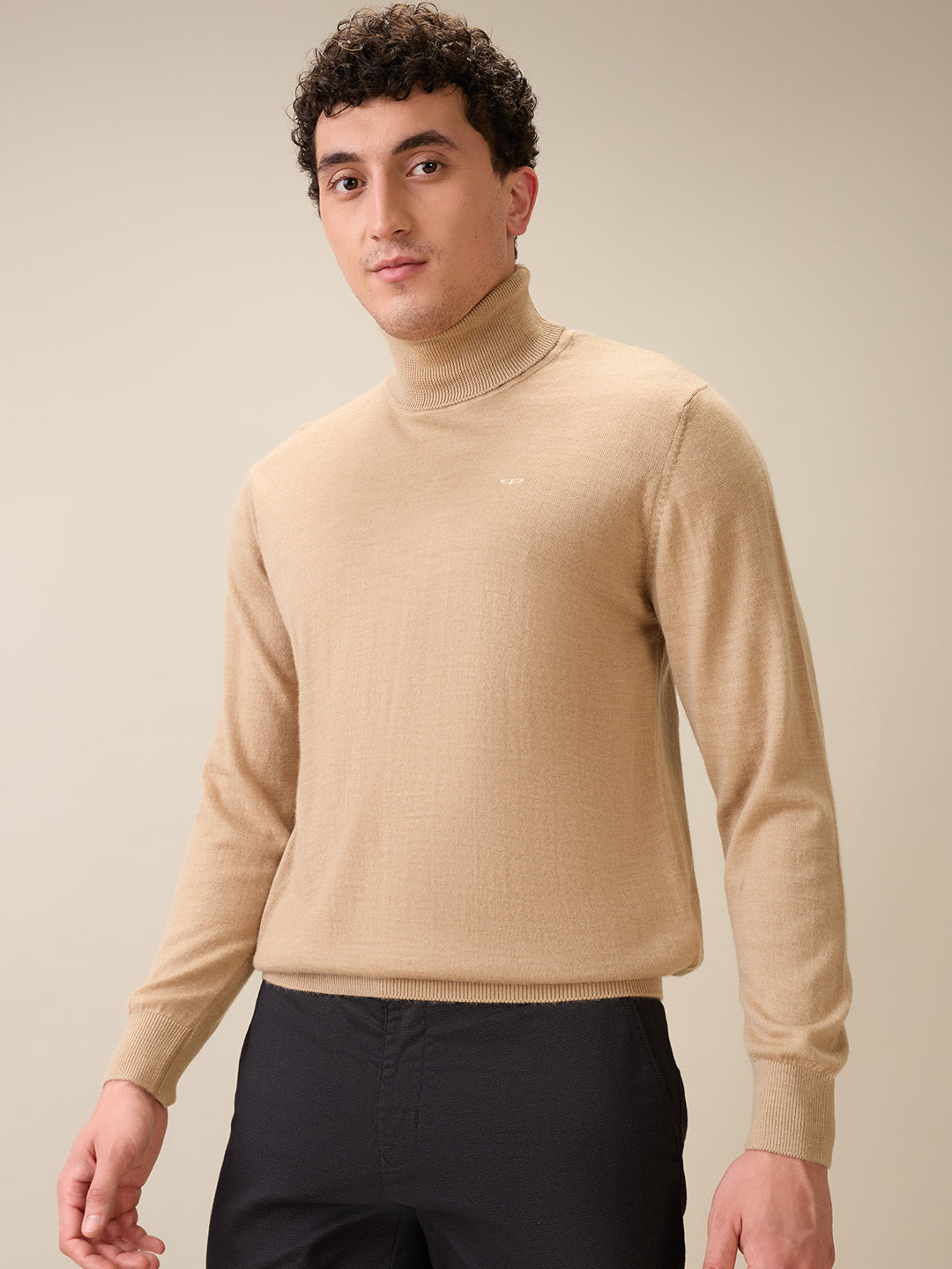 Colorplus Men Brown Solid Regular Fit Wool Blend Full Sleeve V Neck Collar Sweater