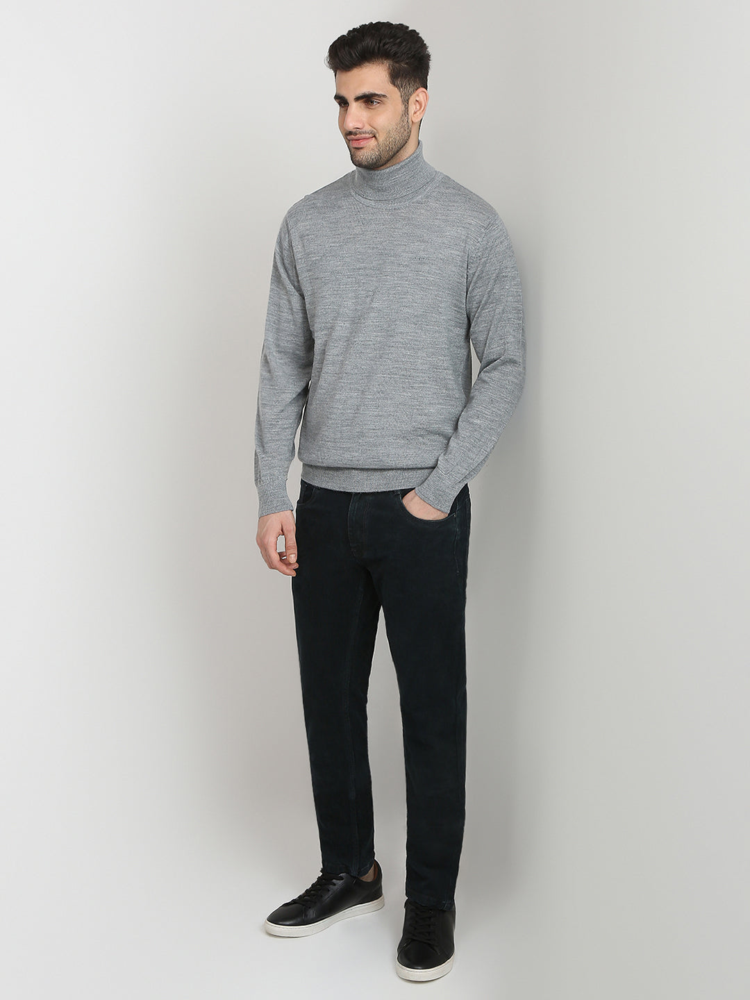 Colorplus Men Grey Solid Regular Fit Wool Blend Full Sleeve V Neck Collar Sweater