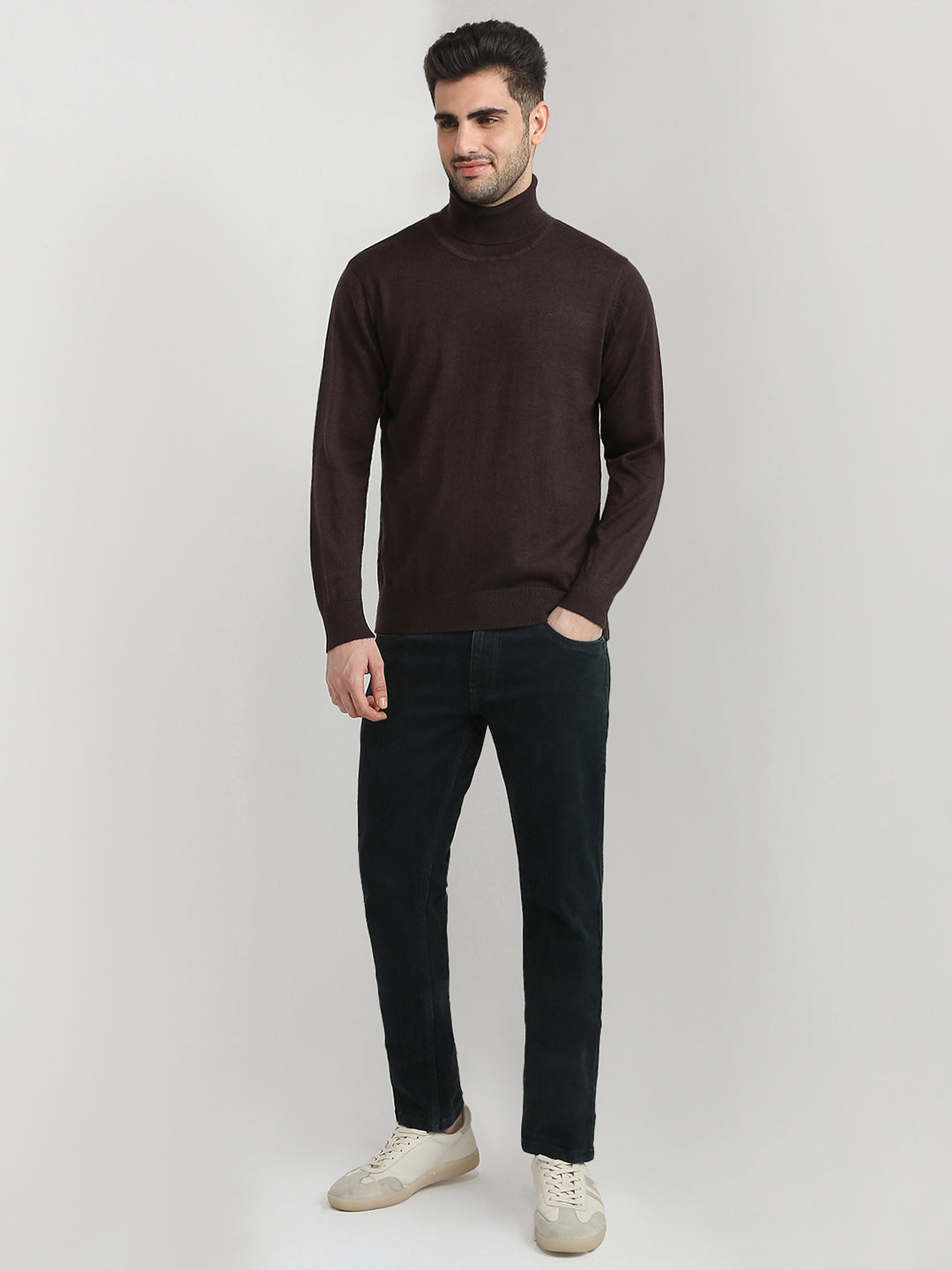 Colorplus Men Brown Solid Regular Fit Wool Blend Full Sleeve V Neck Collar Sweater