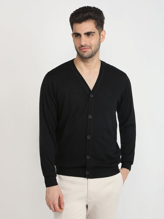 Colorplus Men Black Solid Regular Fit Wool Blend Full Sleeve V Neck Collar Sweater