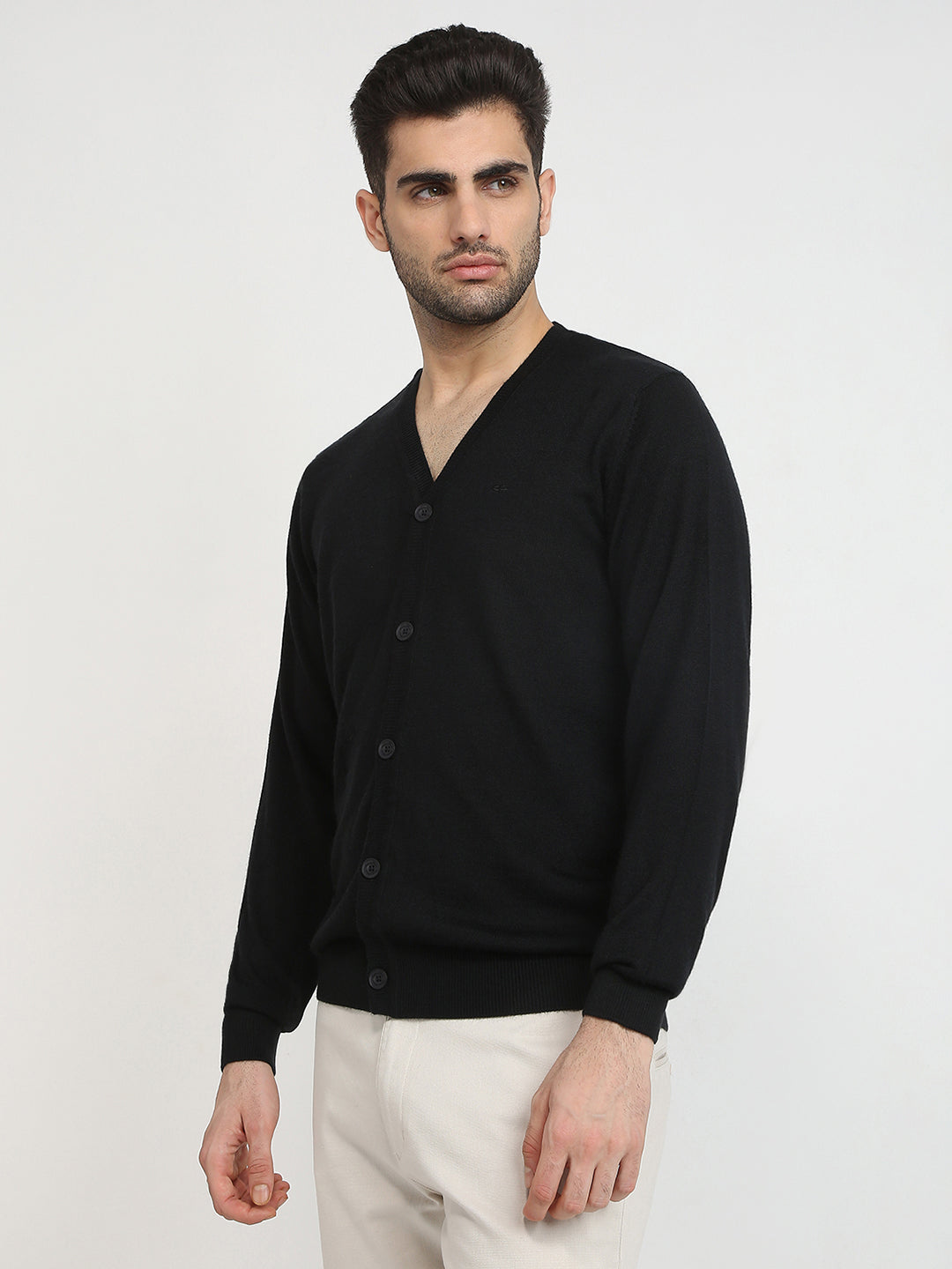 Colorplus Men Black Solid Regular Fit Wool Blend Full Sleeve V Neck Collar Sweater