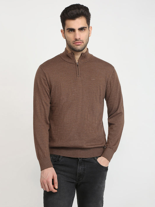 Colorplus Men Brown Solid Regular Fit Wool Blend Full Sleeve V Neck Collar Sweater