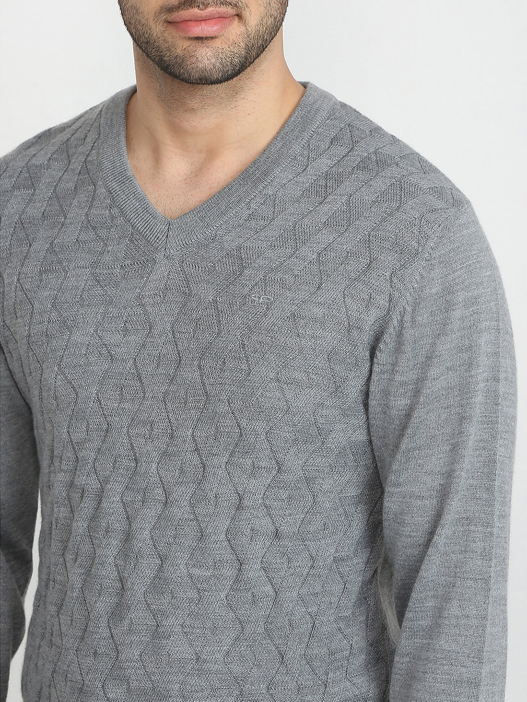 Colorplus Men Grey Solid Regular Fit Wool Blend Full Sleeve V Neck Collar Sweater