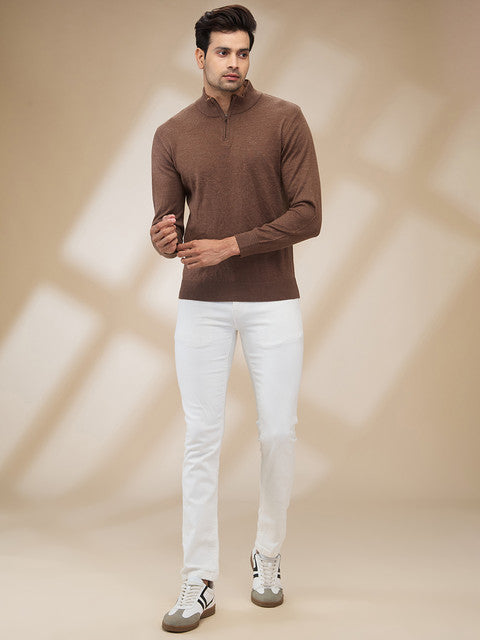 Colorplus Men Brown Plain Regular Fit Wool Blend Sweater