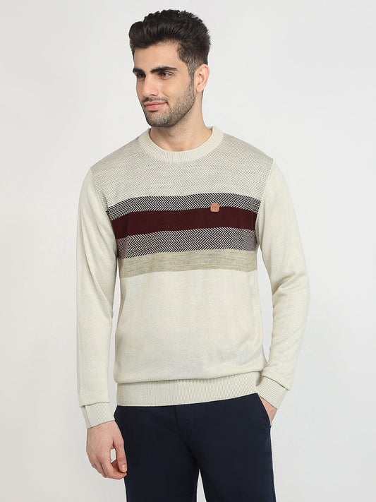 Colorplus Men Brown Jacquard Regular Fit Acrylic Full Sleeve V Neck Collar Sweater