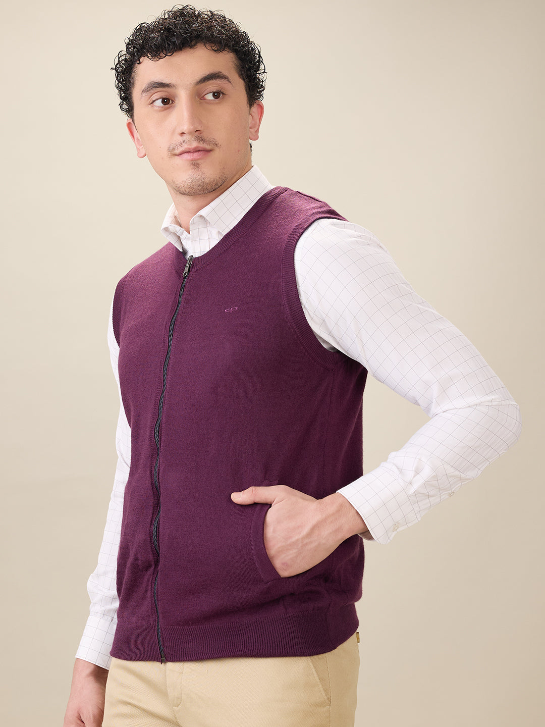 Colorplus Men Maroon Solid Regular Fit Acro Blend Sleeveless V Neck Collar Sweater