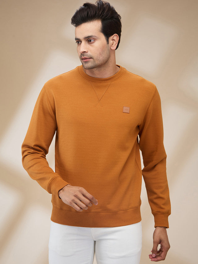 Colorplus Men Brown Solid Regular Fit Polyester Blend Sweatshirt
