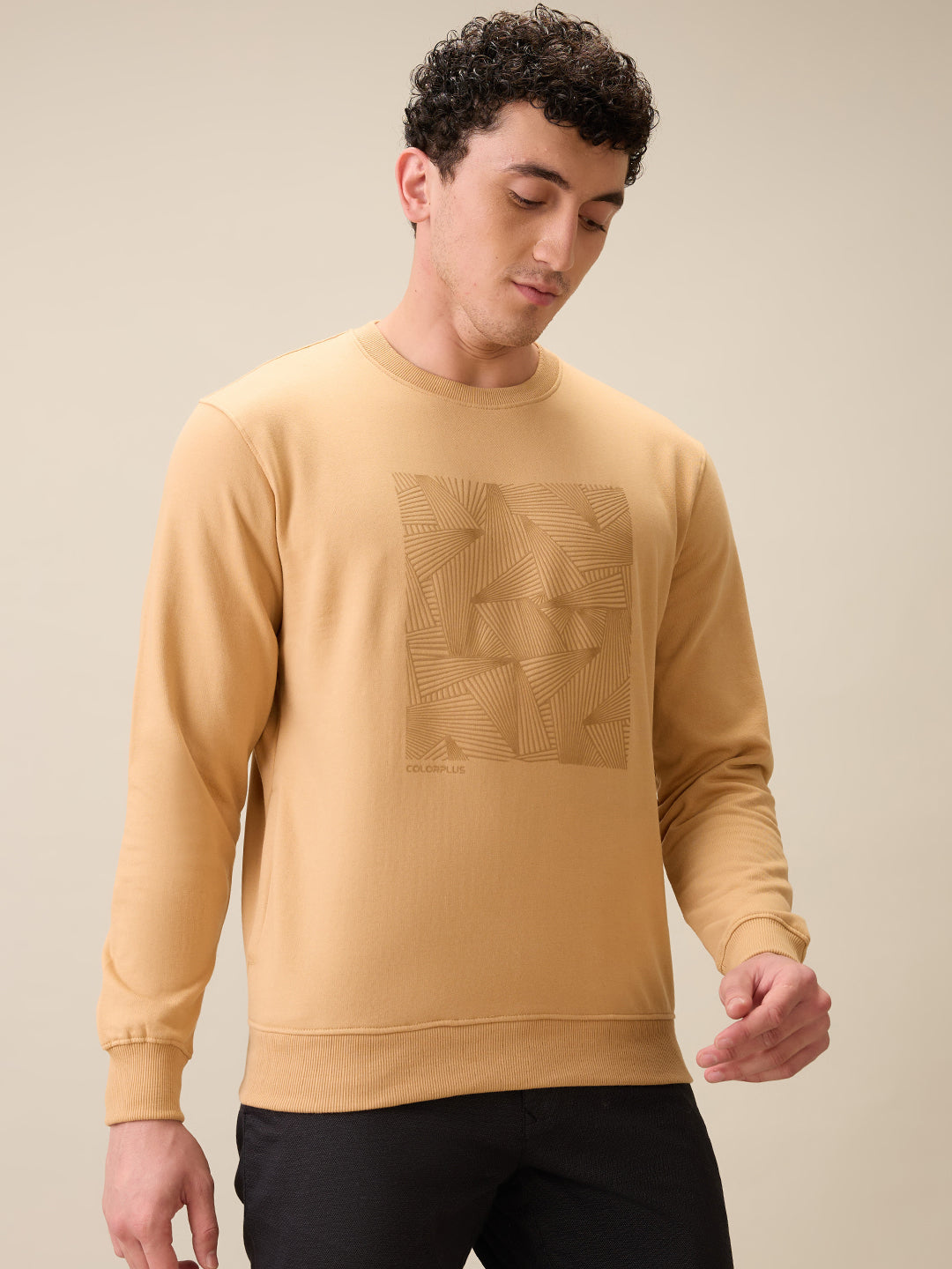 Colorplus Men Brown Printed Regular Fit Cotton Blend Full Sleeve Sweatshirt