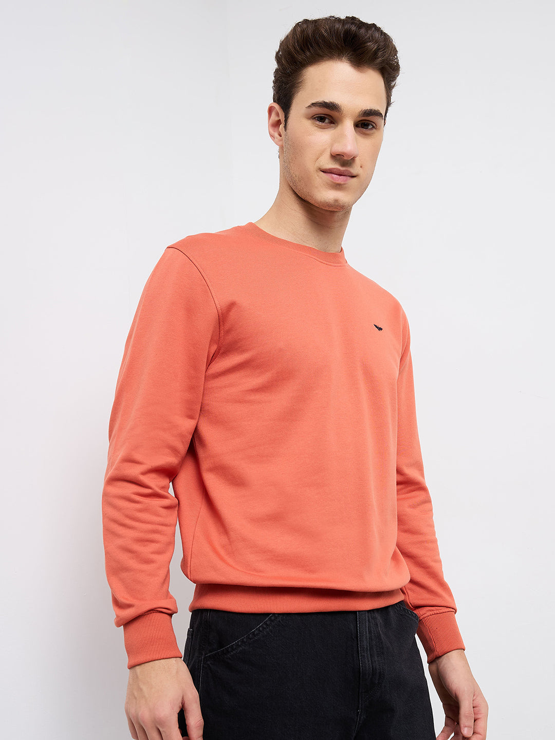 Park Avenue Men Blue Solid Slim Fit Cotton Blend Round Neck Collar Sweatshirt