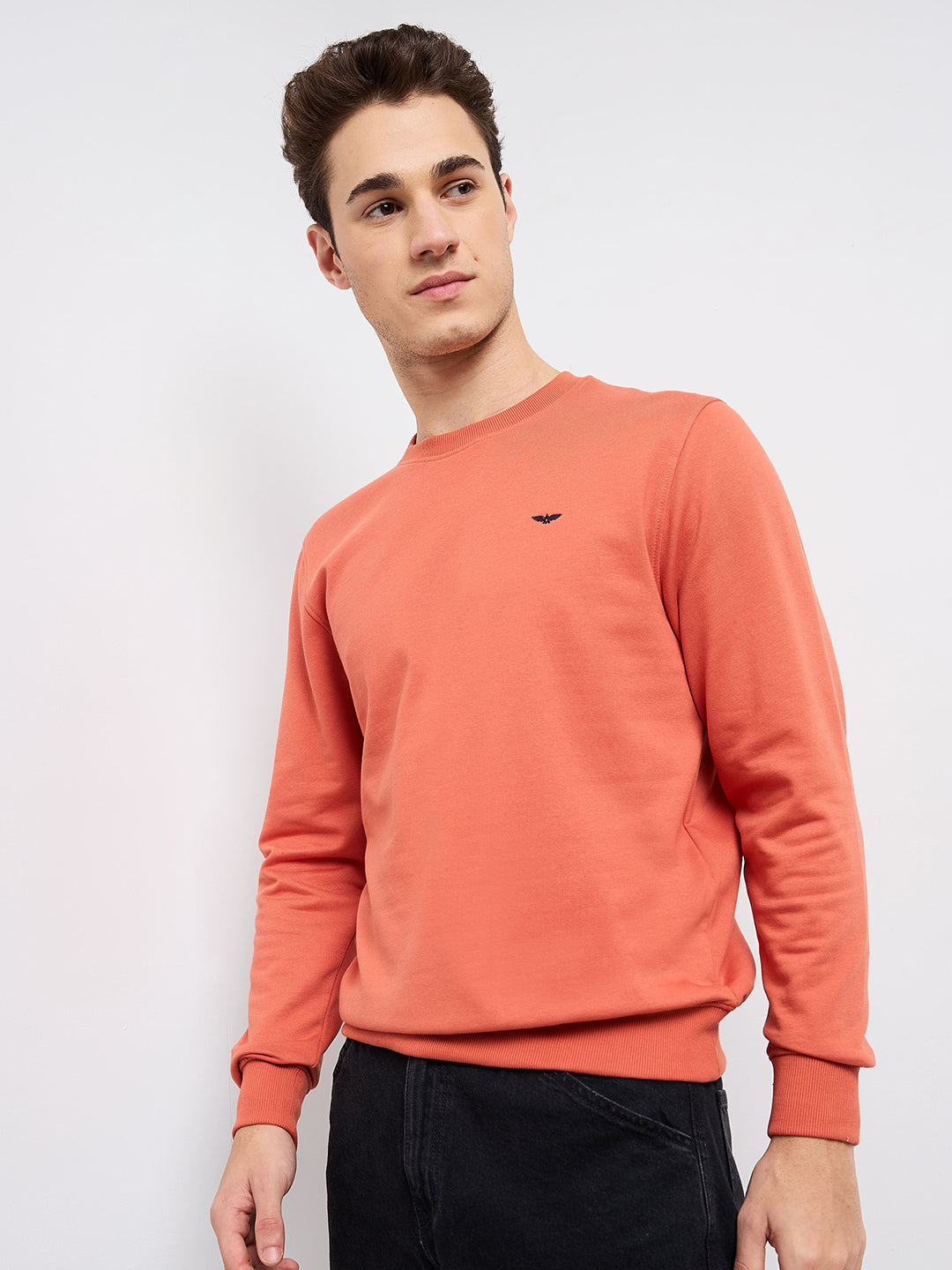 Park Avenue Men Blue Solid Slim Fit Cotton Blend Round Neck Collar Sweatshirt