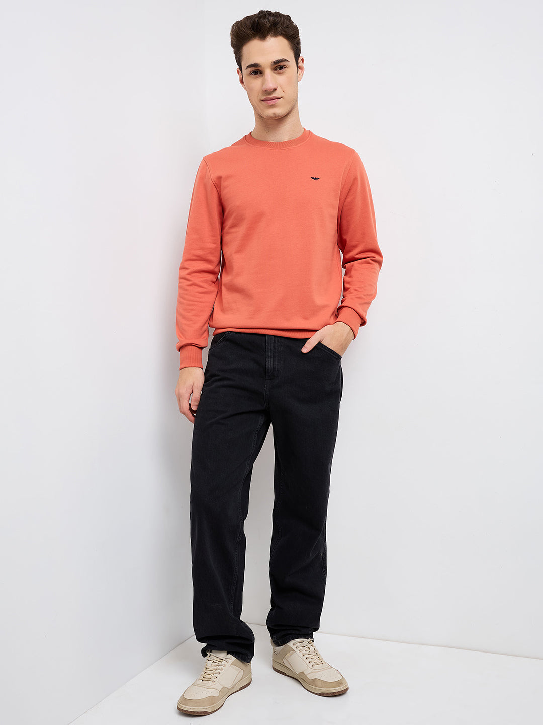 Park Avenue Men Blue Solid Slim Fit Cotton Blend Round Neck Collar Sweatshirt