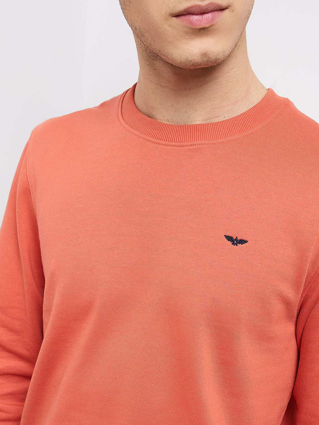 Park Avenue Men Blue Solid Slim Fit Cotton Blend Round Neck Collar Sweatshirt