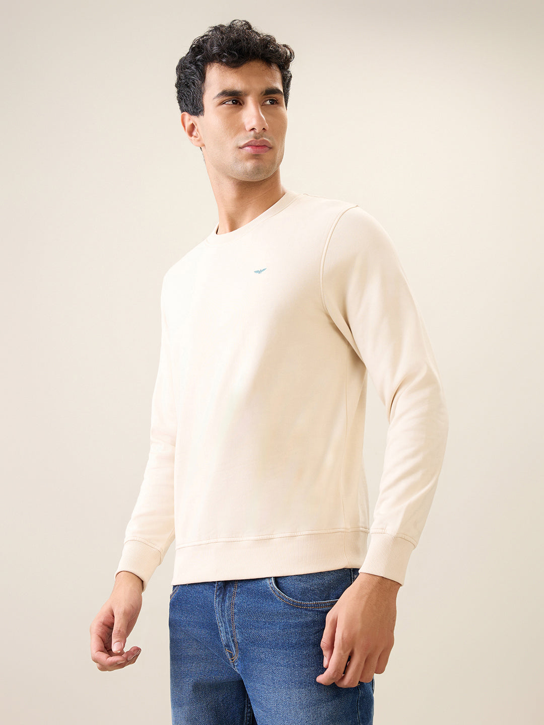Park Avenue Men Brown Solid Slim Fit Cotton Blend Round Neck Collar Sweatshirt