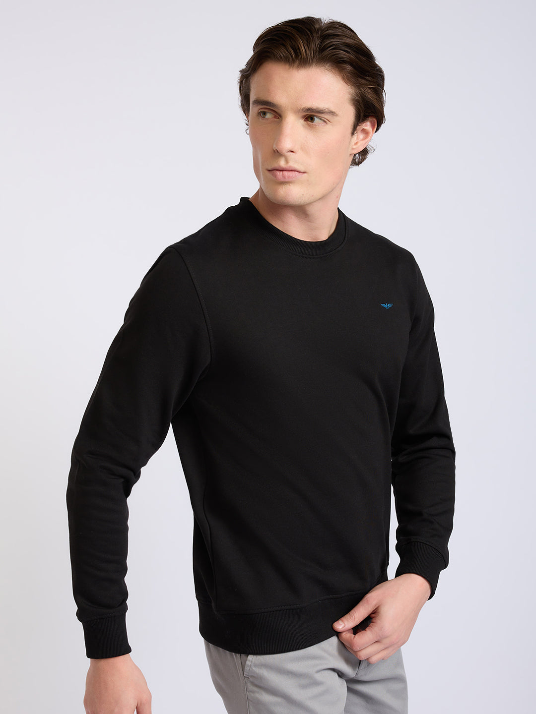 Park Avenue Men Black Solid Slim Fit Cotton Blend Round Neck Collar Sweatshirt