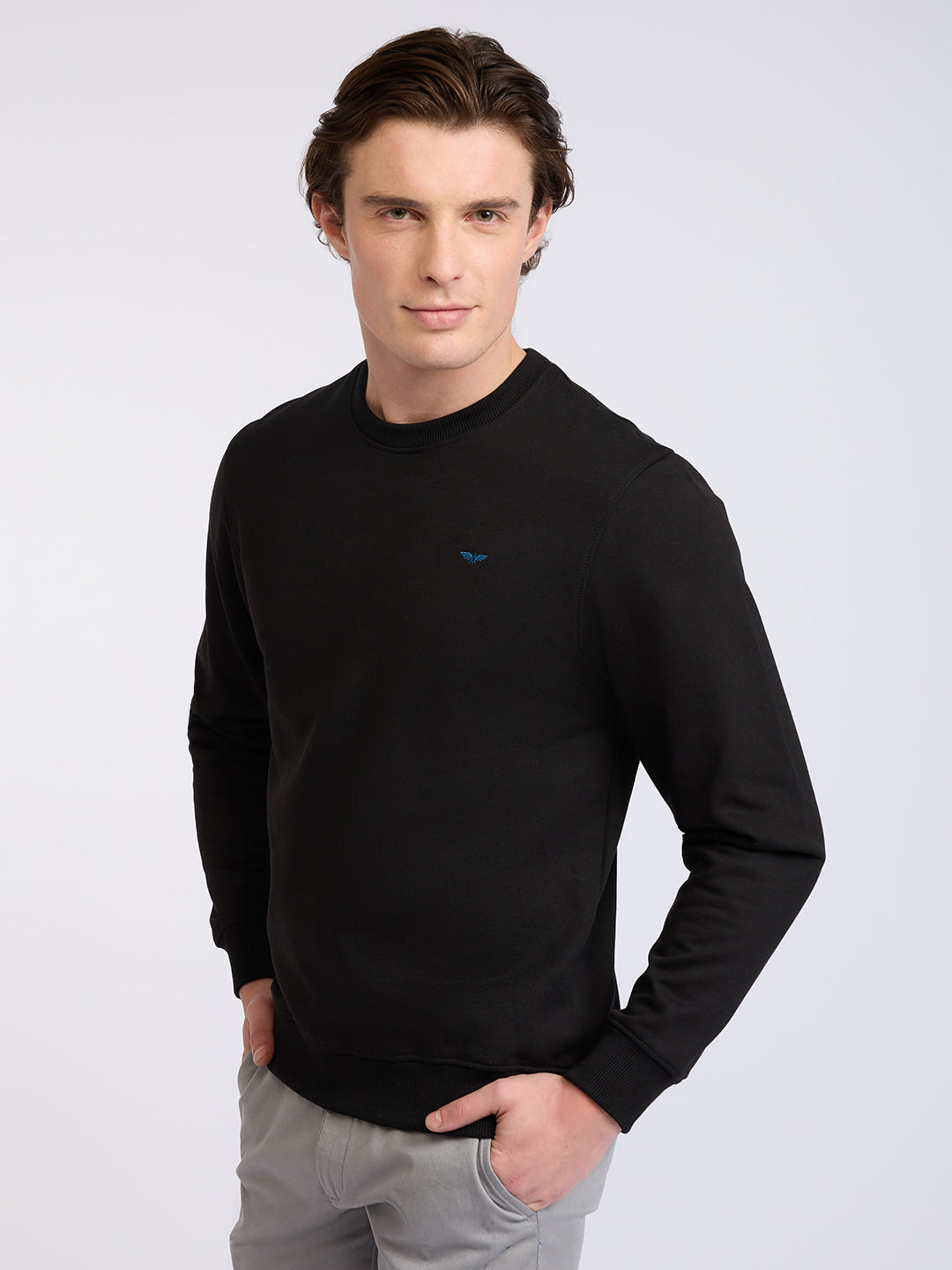 Park Avenue Men Black Solid Slim Fit Cotton Blend Round Neck Collar Sweatshirt