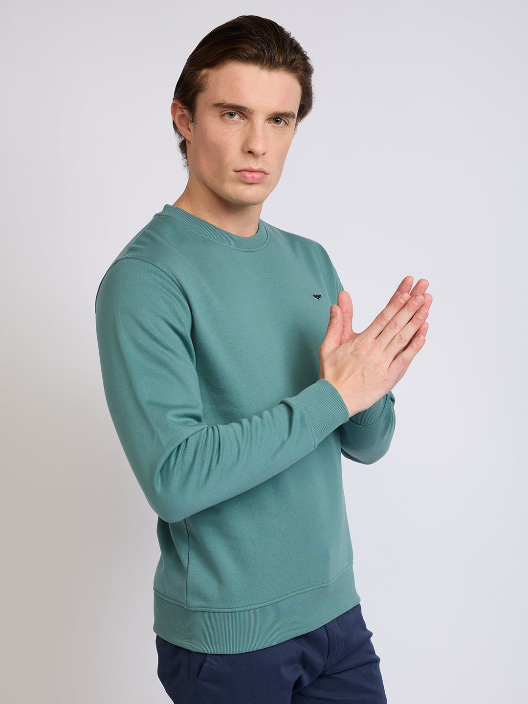 Park Avenue Men Green Solid Slim Fit Cotton Blend Round Neck Collar Sweatshirt