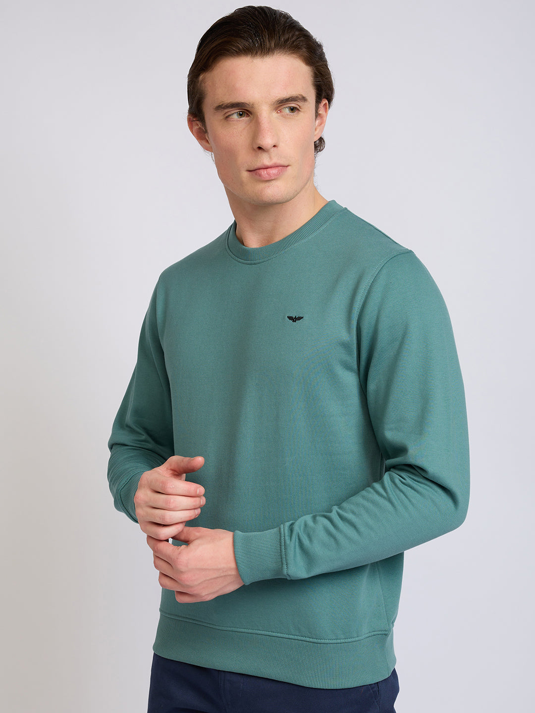 Park Avenue Men Green Solid Slim Fit Cotton Blend Round Neck Collar Sweatshirt