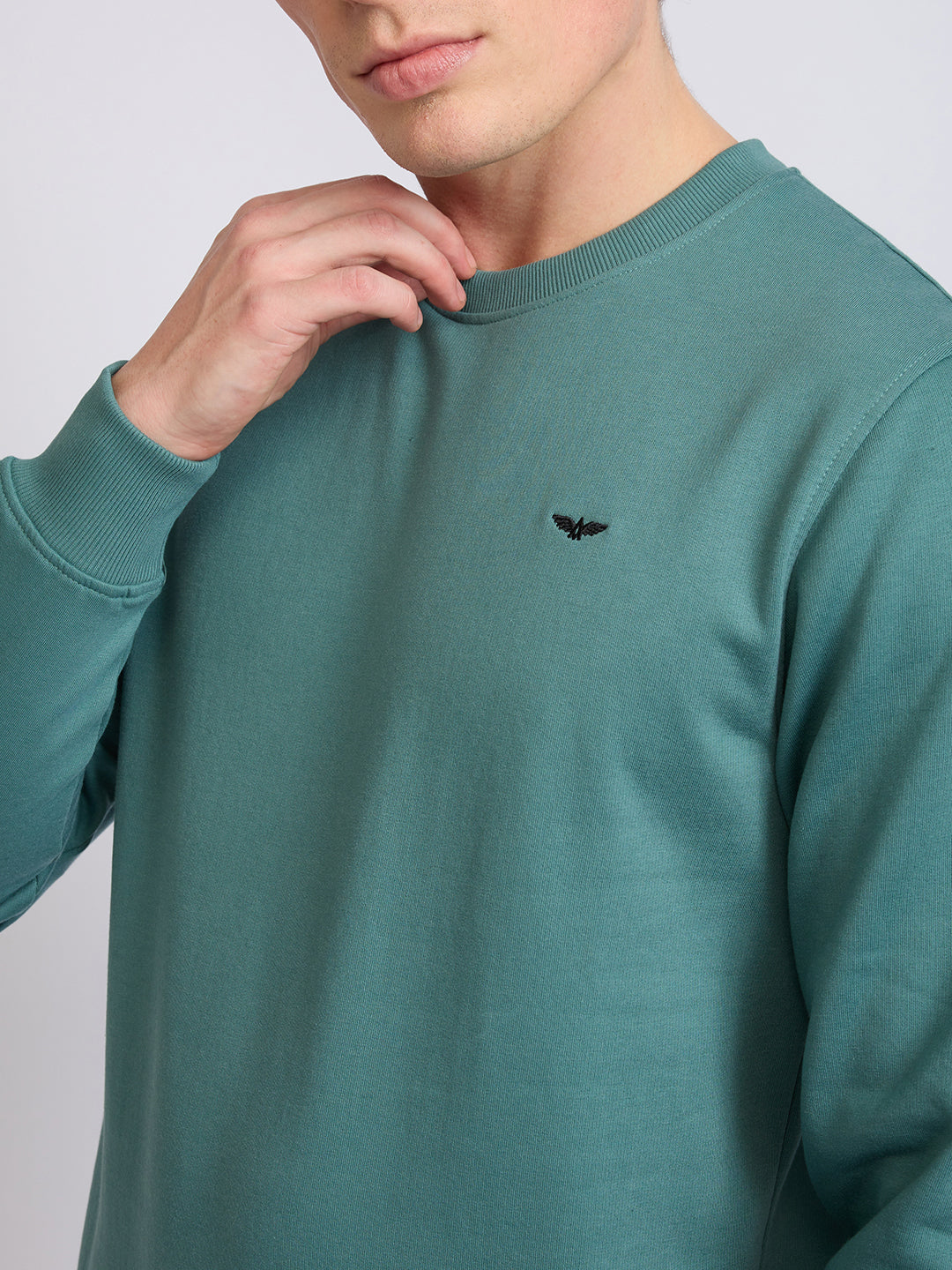 Park Avenue Men Green Solid Slim Fit Cotton Blend Round Neck Collar Sweatshirt