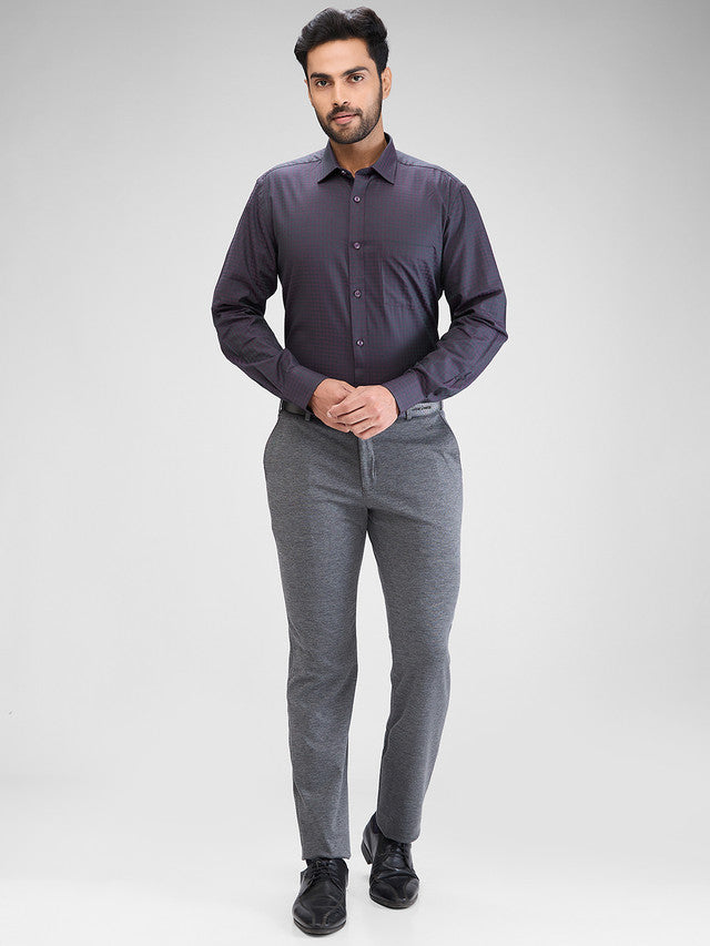 Park Avenue Men Purple Structured Regular Fit Cotton Formal Shirt