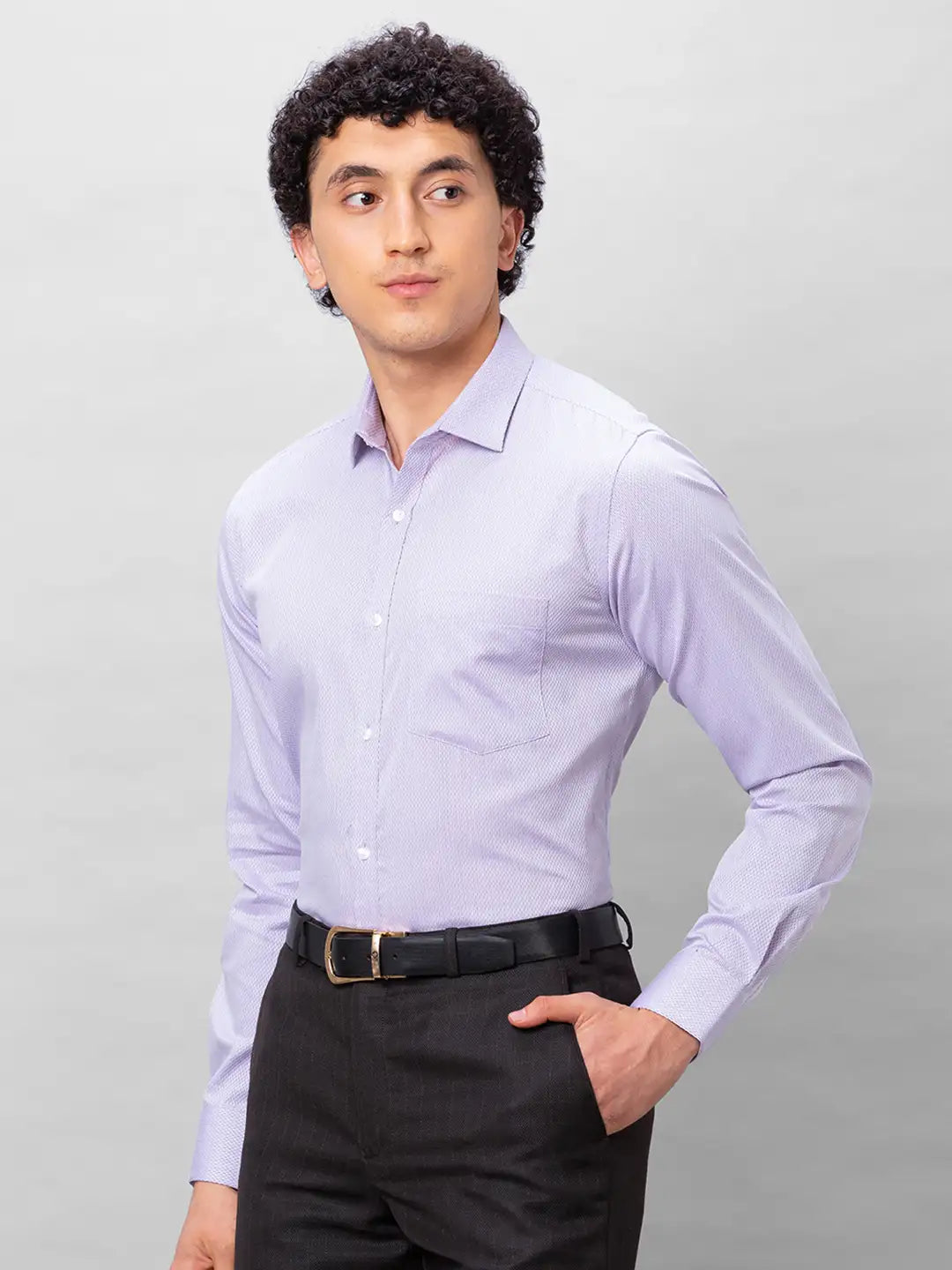 Park Avenue Men Purple Structured Slim Fit Cotton Formal Shirt