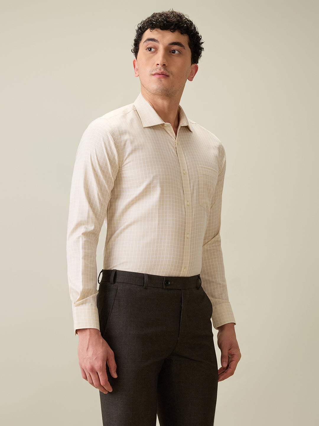 Park Avenue Men Brown Checks Slim Fit Cotton Blend Formal Shirt