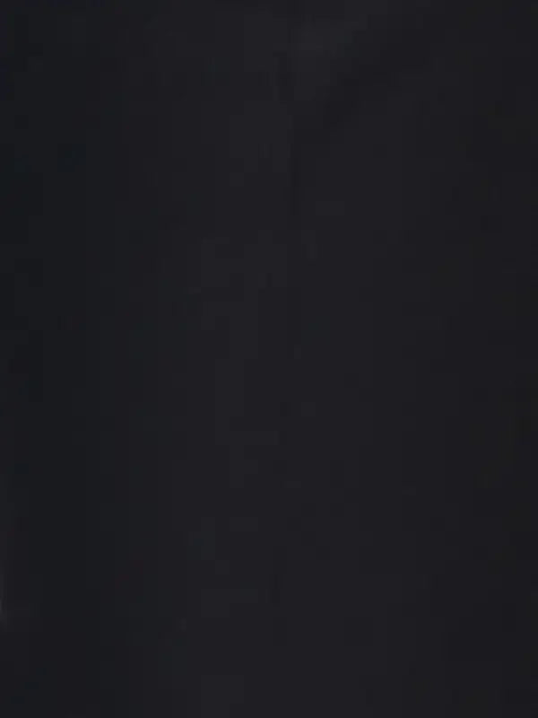 Park Avenue Men Black Smart Fit Structure Polyester Blend Trouser