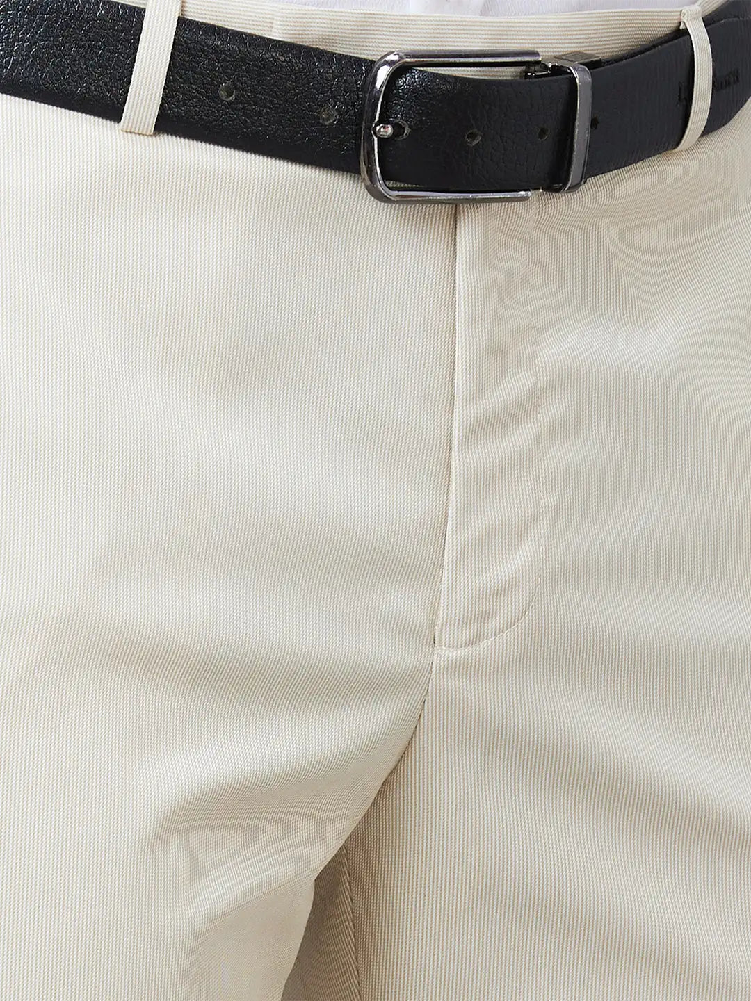 Park Avenue Men Fawn Stripe Smart Fit Polyester Blend Trouser