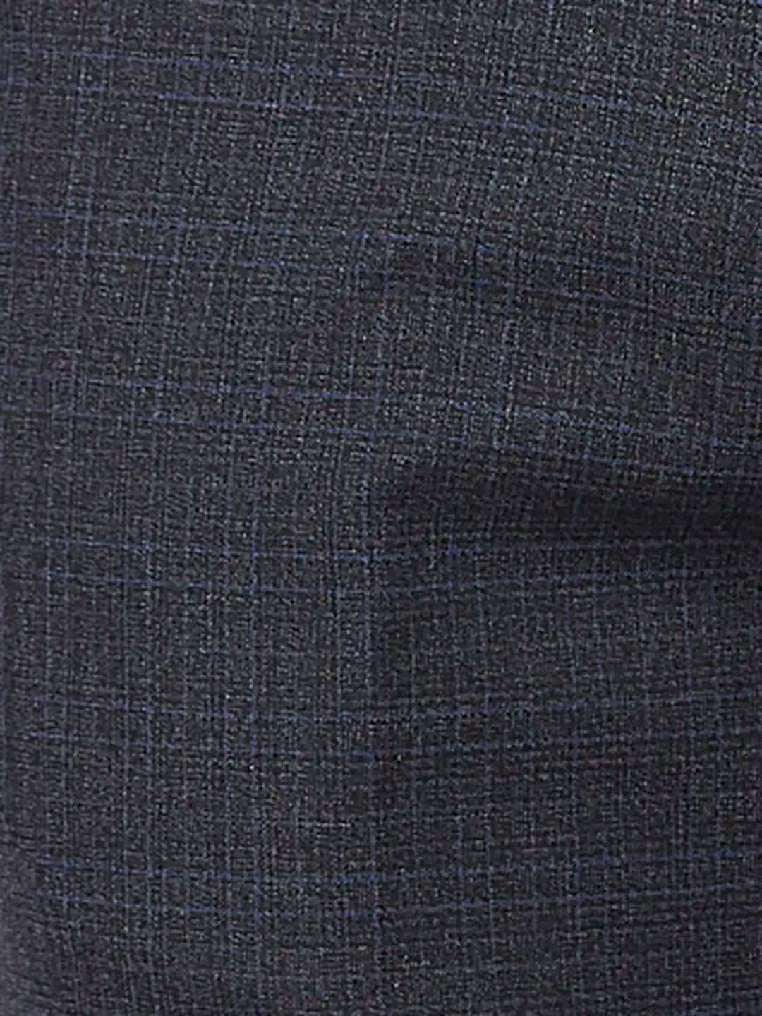 Park Avenue Men Blue Checks Regular Fit Polyester Blend Trouser