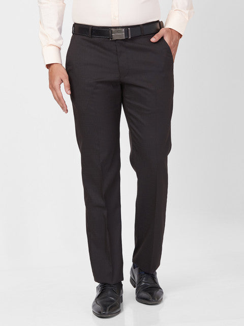 Park Avenue Men Brown Regular Fit Solid Trouser