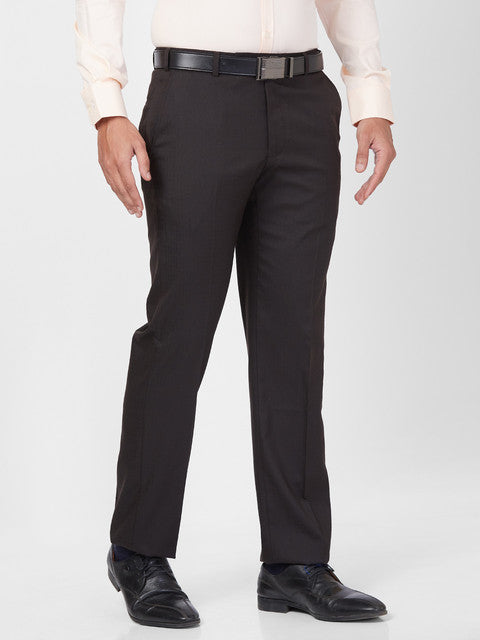 Park Avenue Men Brown Regular Fit Solid Trouser