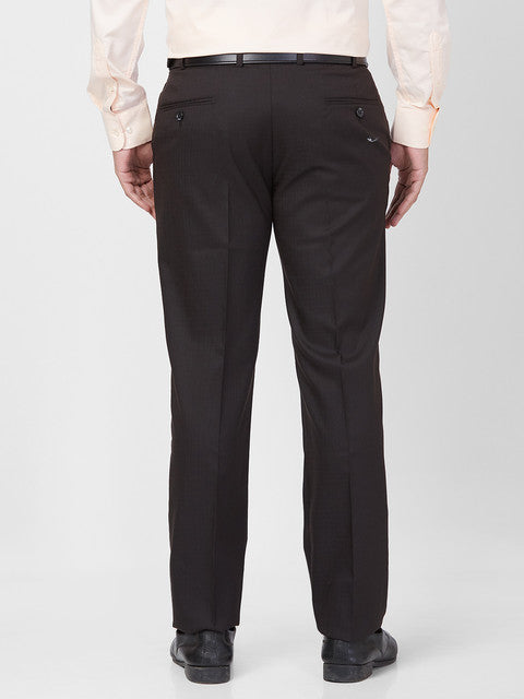 Park Avenue Men Brown Regular Fit Solid Trouser
