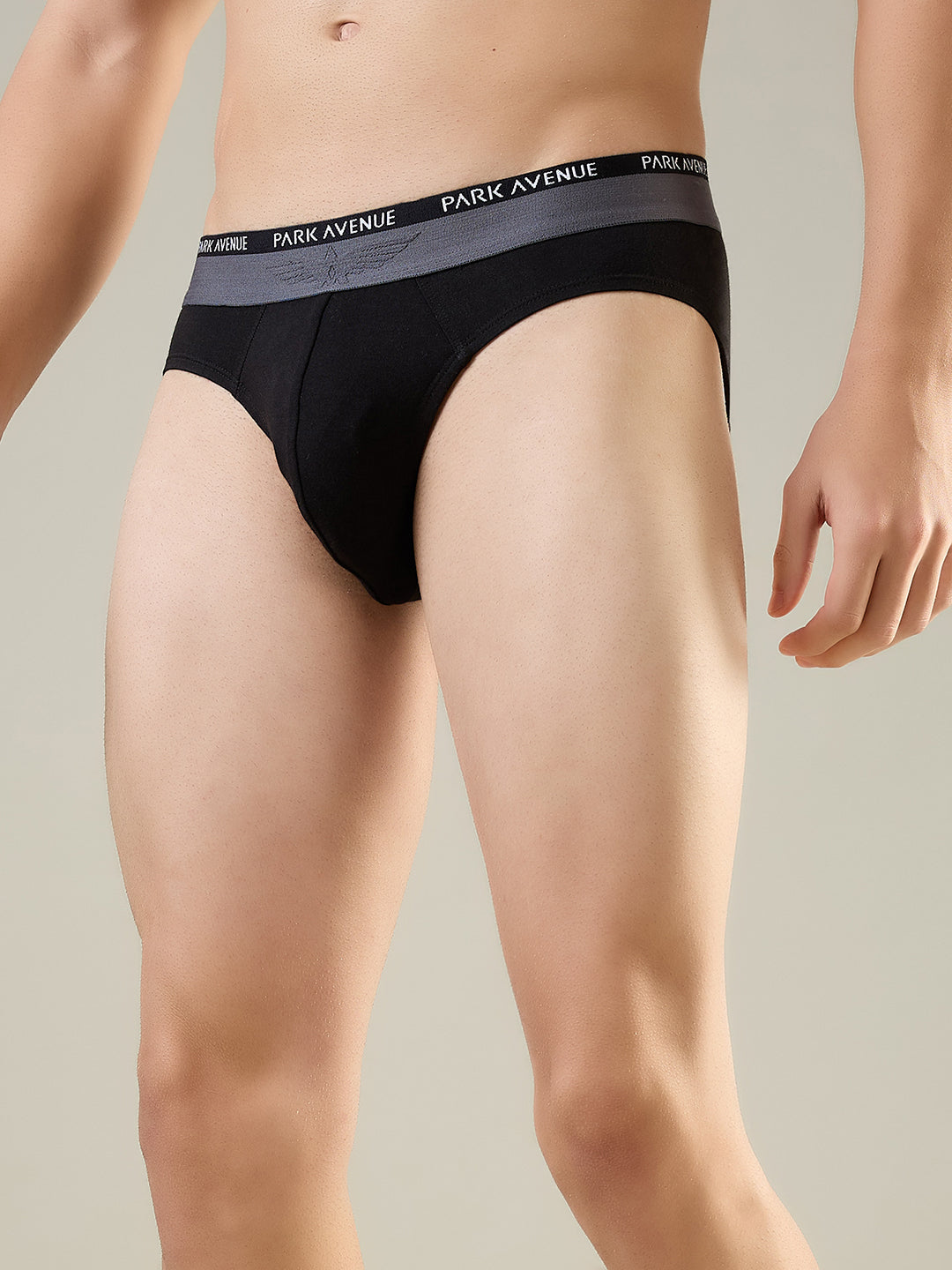 Park Avenue Men Black Cotton Blend Brief Pack Of 2