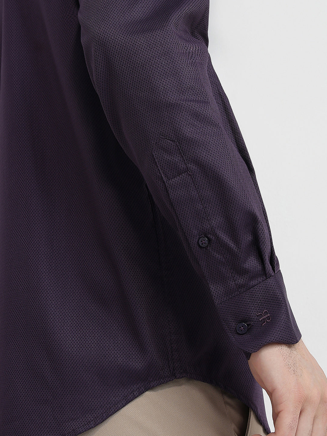 Raymond Men Purple Structure Regular Fit Cotton Full Sleeve Formal Shirt